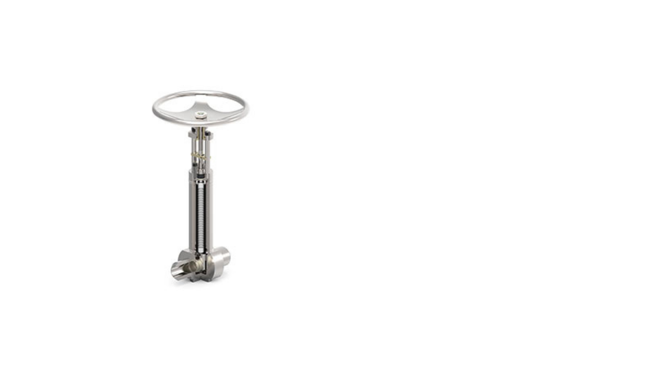 Bellow Seal Valve